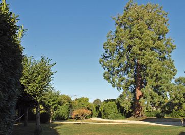 Le LOGIS de LAcOUR